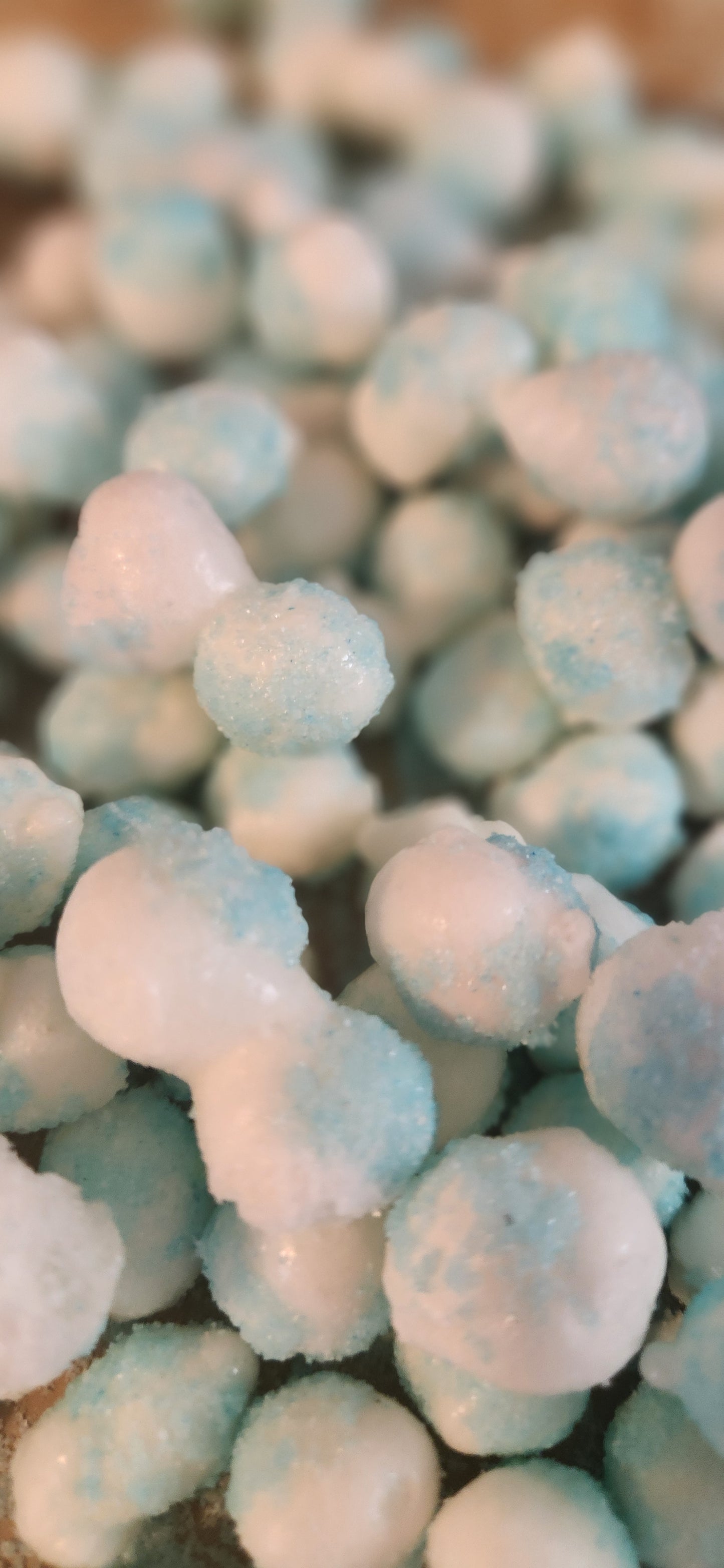 Freeze-Dried Blue Raspberry Bites